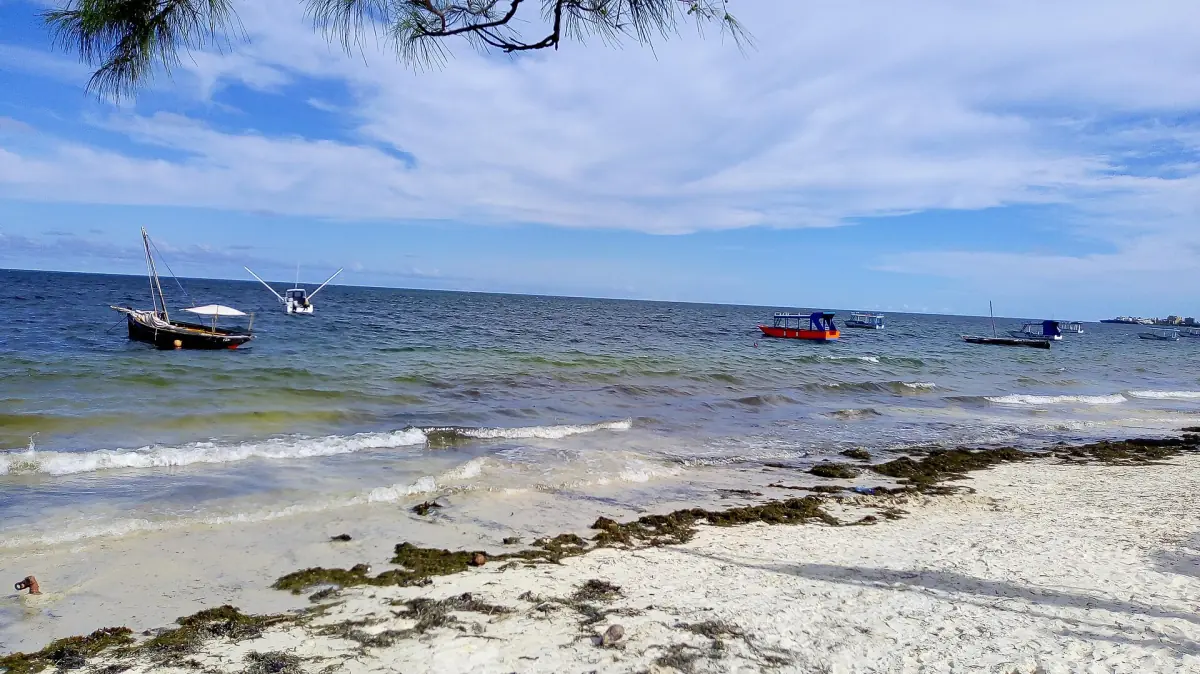 Daus und Boote vor Bamburi Beach
