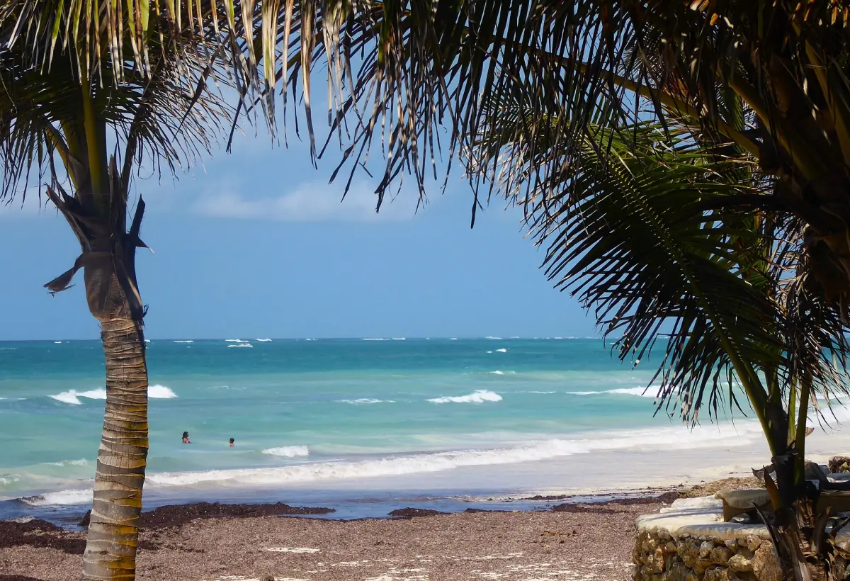 Palmen und weißer Sand am Diani Beach am Indischen Ozean