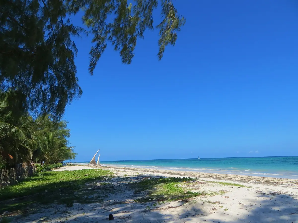 Schattenbäume am Diani Beach
