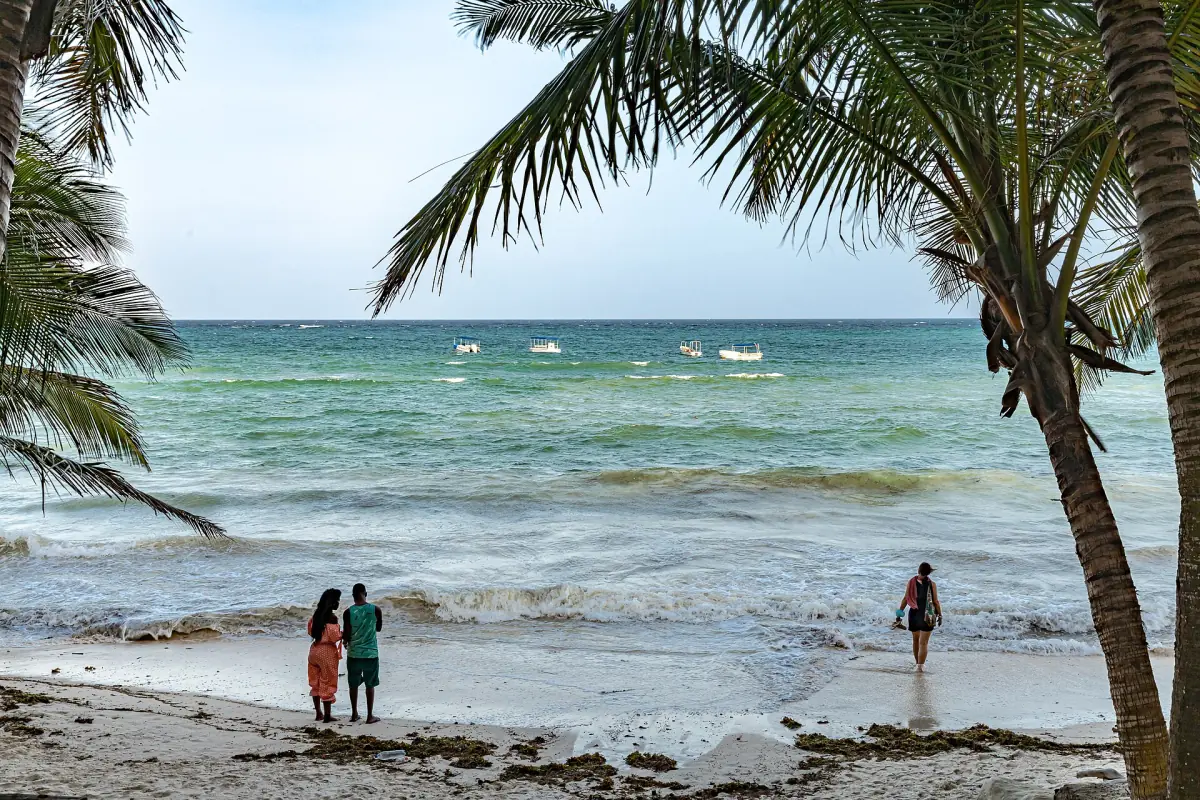 Palmen und flaches Wasser am Diani Beach