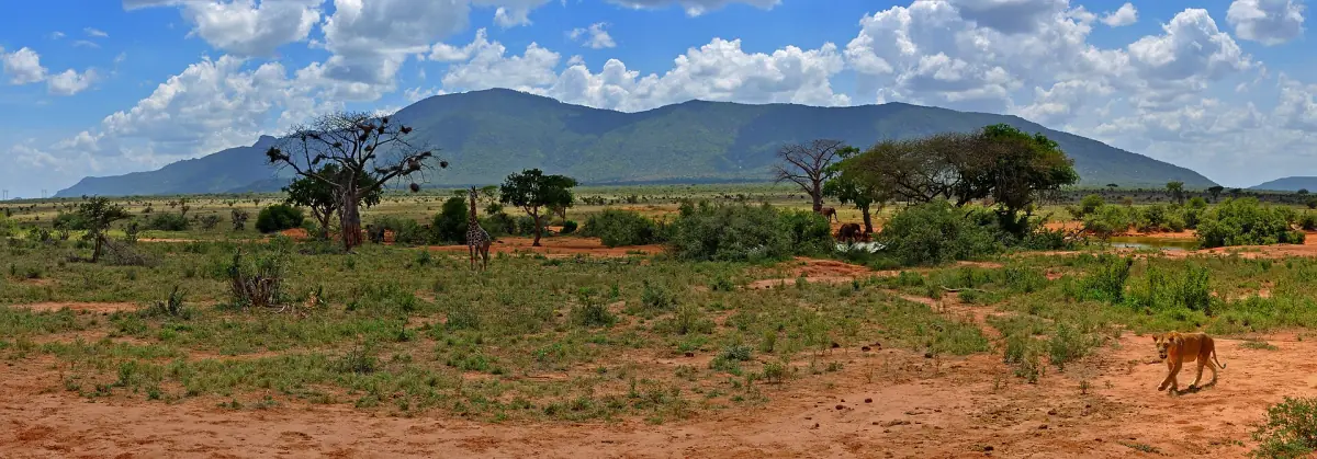 The plains of Tsavo East