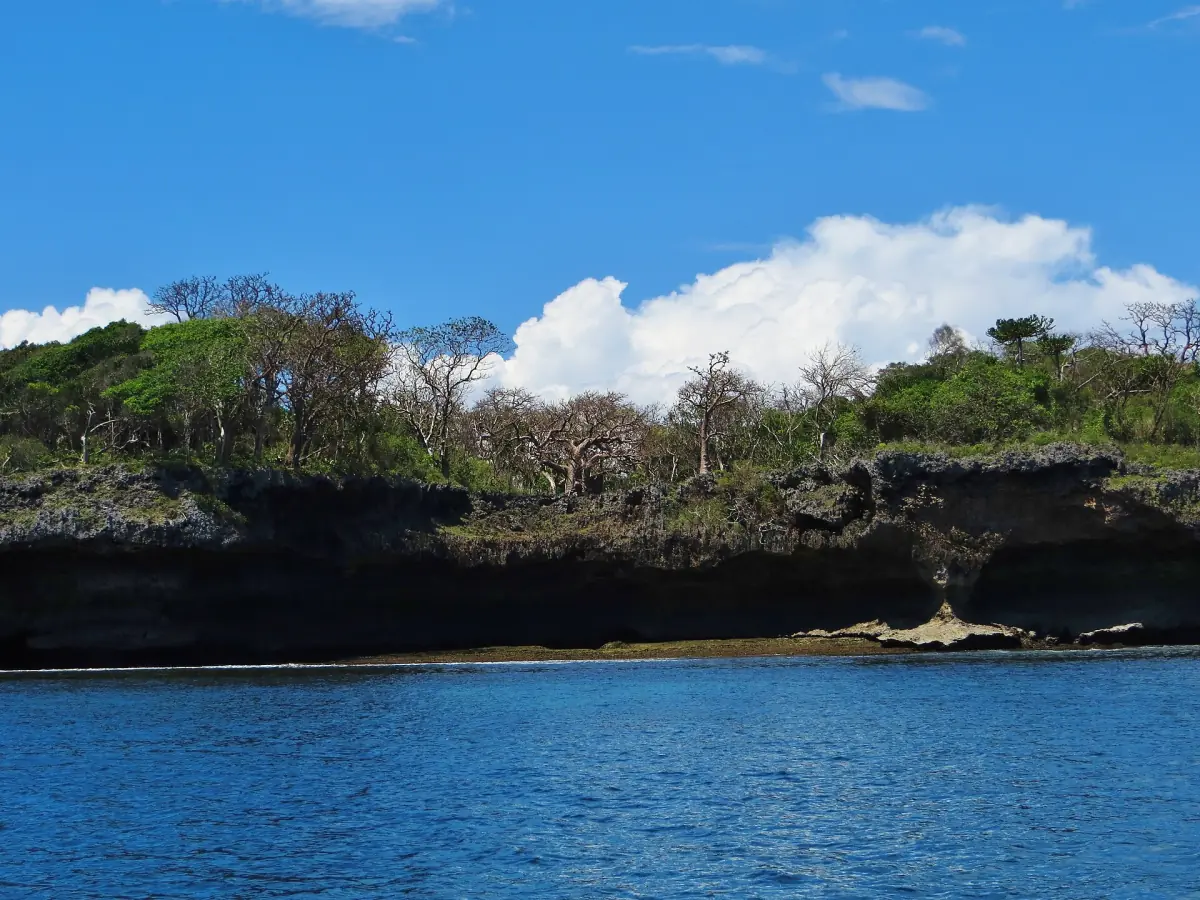 Die Küste von Wasini Island